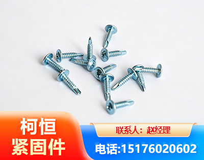 东莞华司钻尾丝