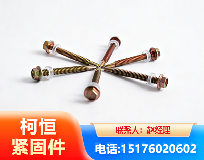 东莞六角钻尾丝